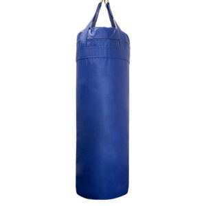 Punching Bag Blue