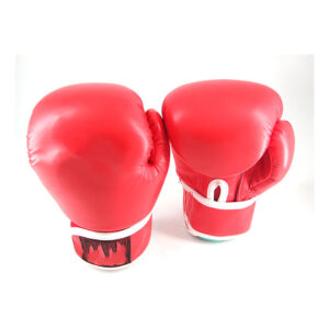 Boxing Gloves Six
