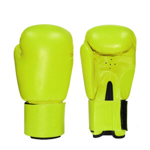 Boxing Gloves Two