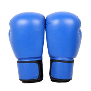 Boxing Gloves 18