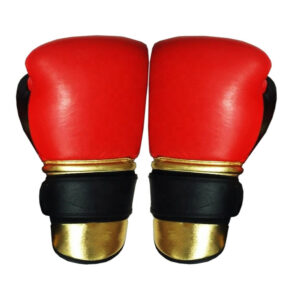 Boxing Gloves 14