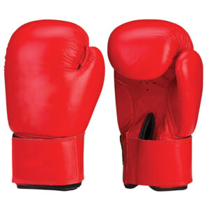 Boxing Gloves 12